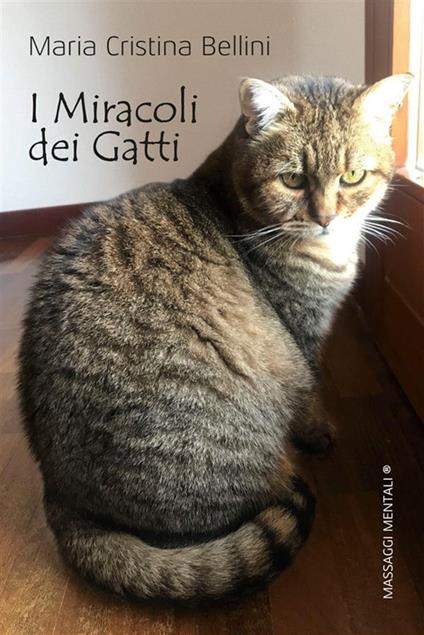 I miracoli dei gatti - Maria Cristina Bellini - ebook