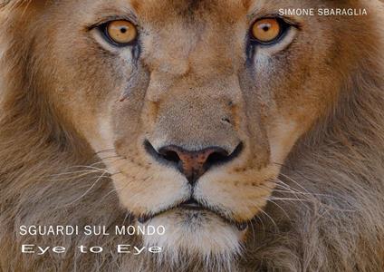 Sguardi sul mondo: eye to eye. Ediz. illustrata - Simone Sbaraglia - copertina