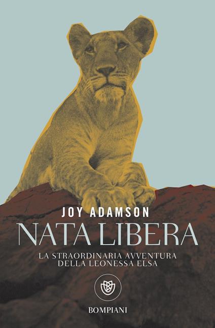 Nata libera. La straordinaria avventura della leonessa Elsa - Joy Adamson,Stefano Chiapello,Tramontana Andrea - ebook