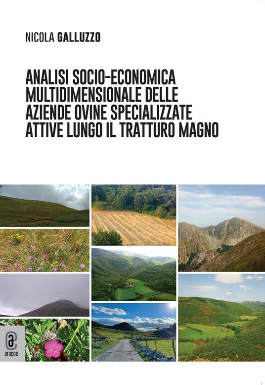 Analisi socio-economica multidimensionale delle aziende ovine specializzate attive lungo il tratturo Magno - Nicola Galluzzo - copertina