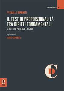 Il test di proporzionalità tra diritti fondamentali. Struttura, patologie e rimedi. Nuova ediz.