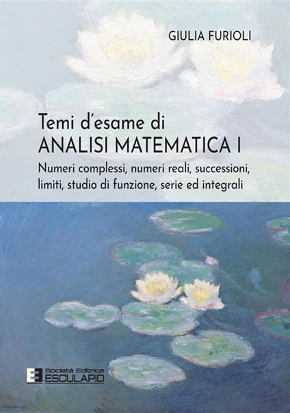 Temi d'esame di analisi matematica. Vol. 1 - Giulia Furioli - ebook