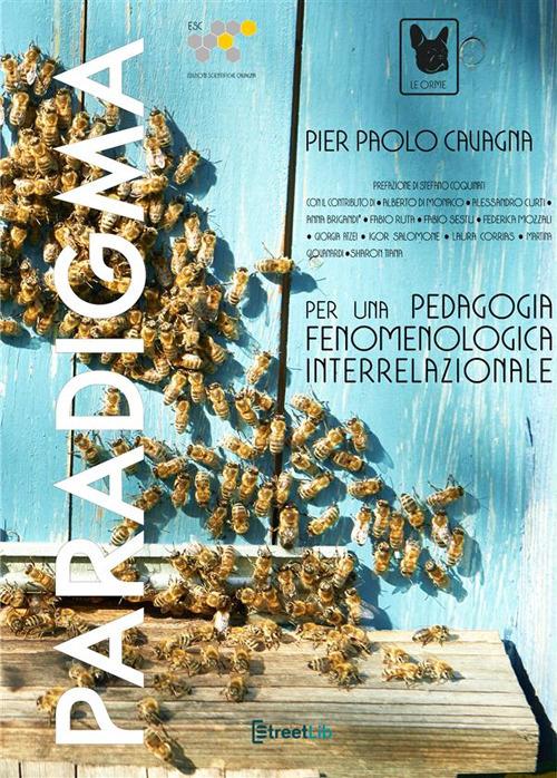 Paradigma per una pedagogia fenomenologica interrelazionale - Pier Paolo Cavagna - ebook