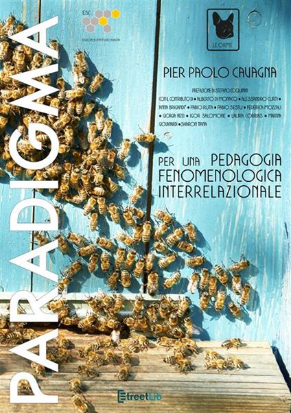 Paradigma per una pedagogia fenomenologica interrelazionale - Pier Paolo Cavagna - copertina