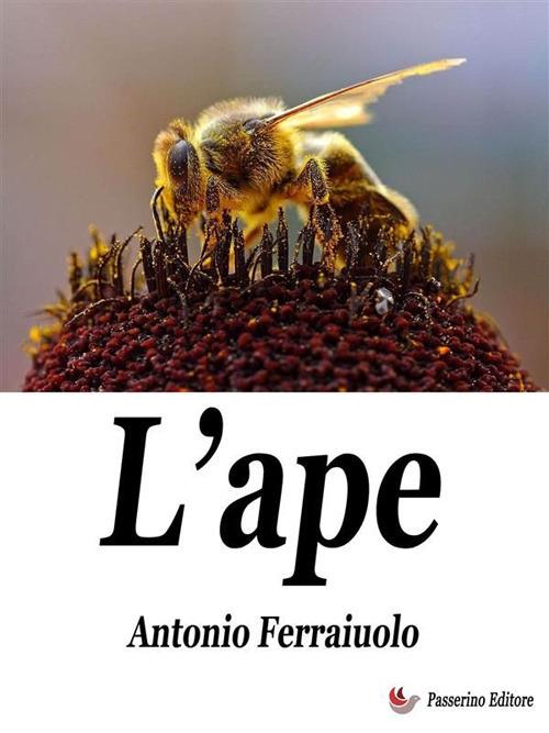 L' ape - Antonio Ferraiuolo - ebook