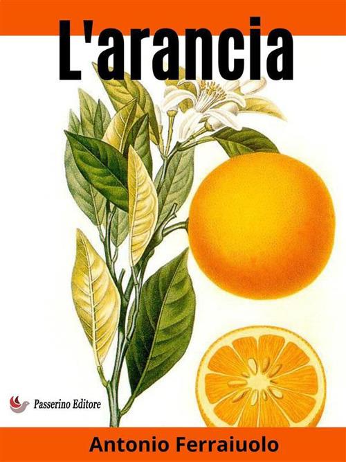 L' arancia - Antonio Ferraiuolo - ebook