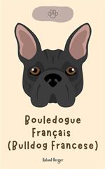 Bouledogue français (Bulldog francese)