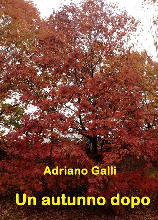 Un autunno dopo - Adriano Galli - copertina