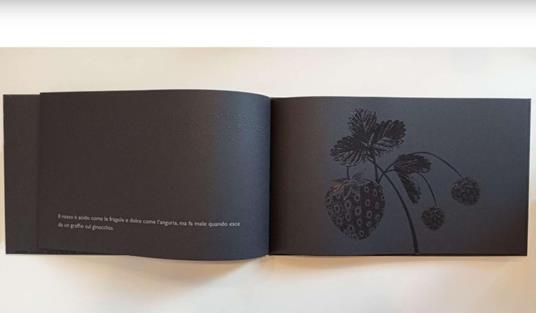 Il libro nero dei colori. Ediz. illustrata - Menena Cottin,Rosana Farìa - 4