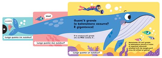 Quanto è grande una balena? Scorri e scopri. Ediz. a colori - Lisa Regan - 2