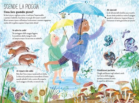 Il grande libro della natura. Ediz. a colori - Yuval Zommer - 4