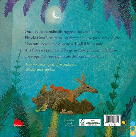 Una casa per piccolo orso. Ediz. a colori - Britta Teckentrup - 5