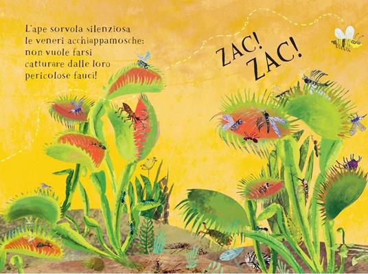 Il piccolo libro delle api e dei fiori. Ediz. a colori - Yuval Zommer - 4