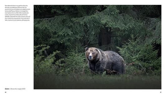 In the wild - Jonathan Giovannini - 3