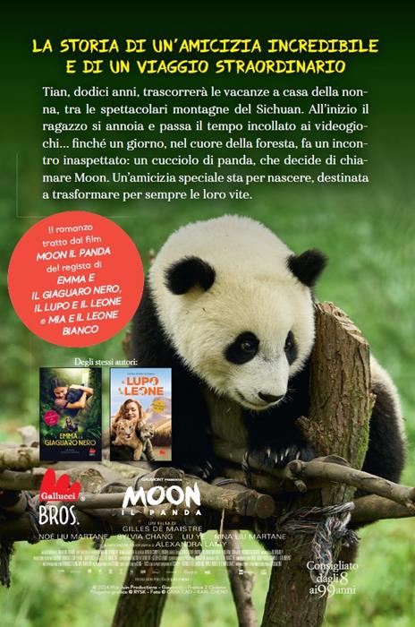 Moon il panda - Gilles de Maistre - 4