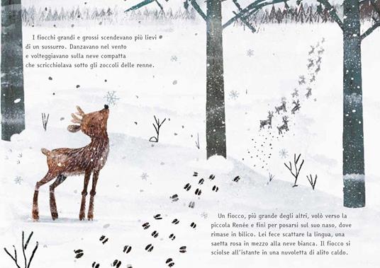 Il cucciolo e il pettirosso. Ediz. a colori - Rosa Bailey - 2