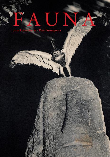 Fauna - Joan Fontcuberta,Pere Formiguera - copertina