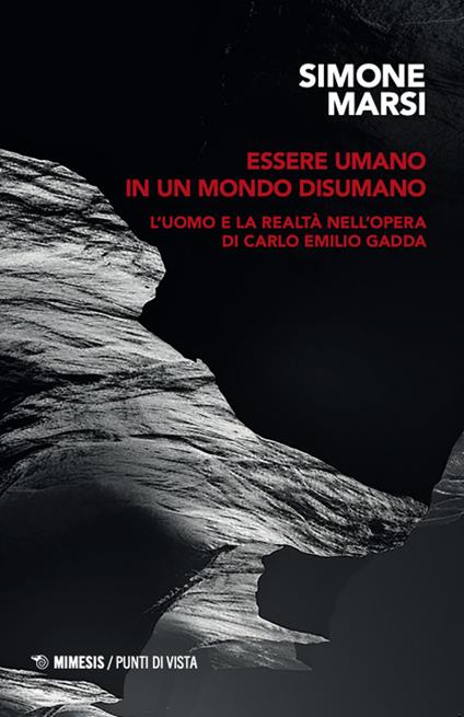 Essere umano in un mondo disumano. L'uomo e la realtà nell'opera di Carlo Emilio Gadda - Simone Marsi - copertina
