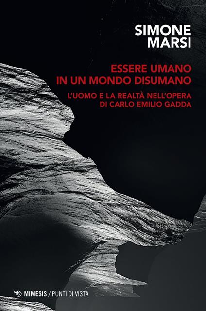 Essere umano in un mondo disumano. L'uomo e la realtà nell'opera di Carlo Emilio Gadda - Simone Marsi - ebook