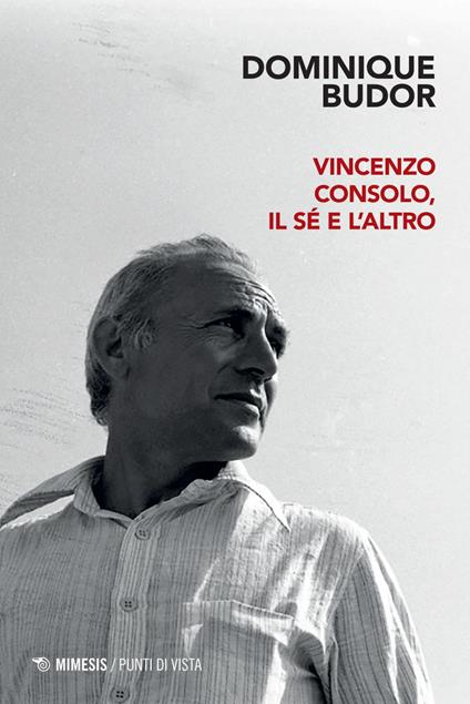 Vincenzo Consolo, il sé e l'altro - Dominique Budor - ebook