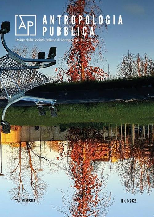 Antropologia pubblica. Ediz. italiana e spagnola (2025). Vol. 1: Ecologie degli ambienti urbani: sfide applicative - copertina
