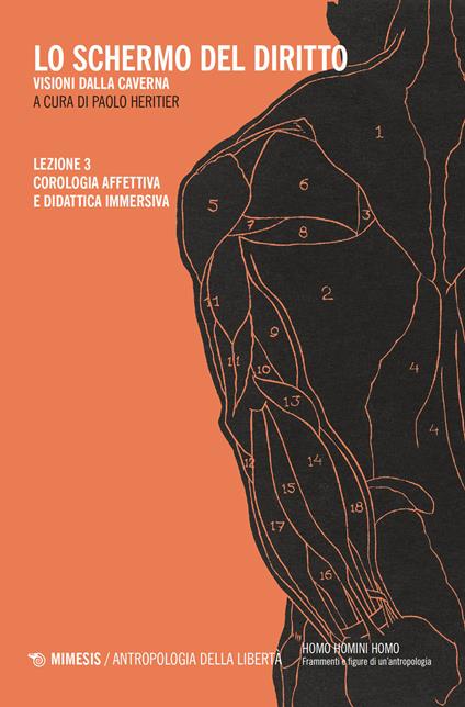 Lo schermo del diritto. Visioni dalla caverna. Vol. 3: Corologia affettiva e didattica immersiva - Paolo Heritier - copertina