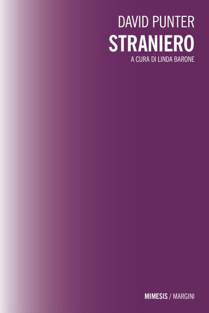 Straniero - David Punter - copertina
