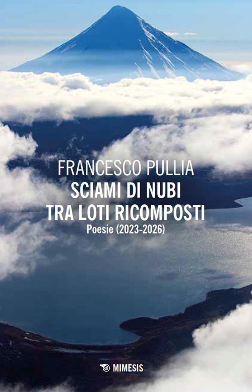 Sciami di nubi tra loti ricomposti - Francesco Pullia - copertina