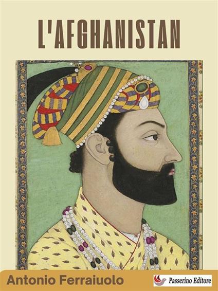 L' Afghanistan - Antonio Ferraiuolo - ebook