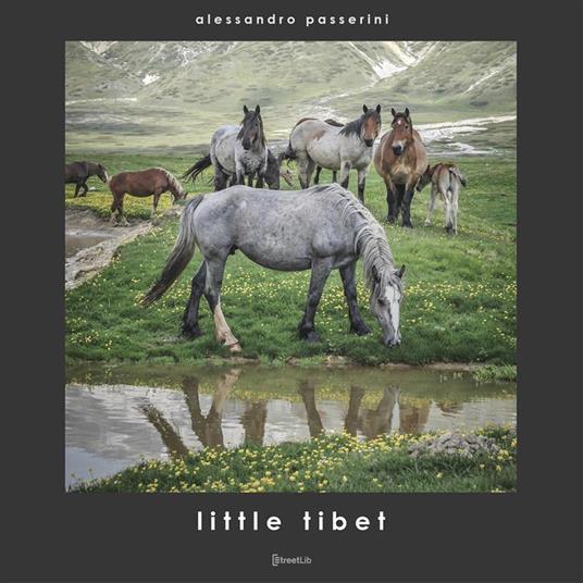 Little Tibet. Ediz. illustrata - Alessandro Passerini - copertina