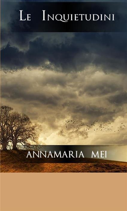 Le inquietudini - Annamaria Mei - copertina