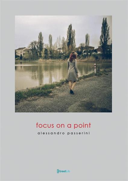 Focus on a point. Ediz. illustrata - Alessandro Passerini,Elisa Mucchi,Laura Ulisse - copertina