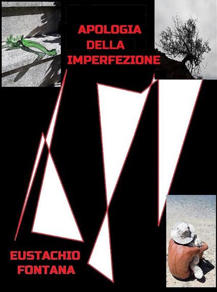 Apologia dell'Imperfezione - Eustachio Fontana - ebook