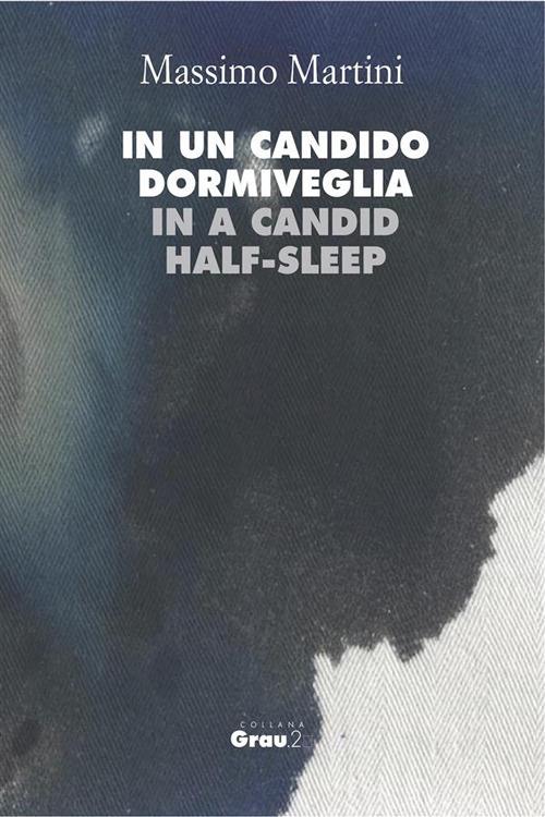 In un candido dormiveglia - Massimo Martini - ebook