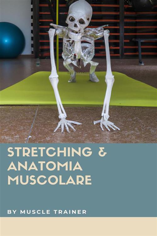 Stretching & anatomia muscolare - Muscle Trainer - ebook
