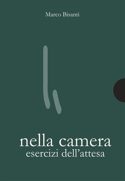 Nella camera. Esercizi dell'attesa - Marco Bisanti - ebook