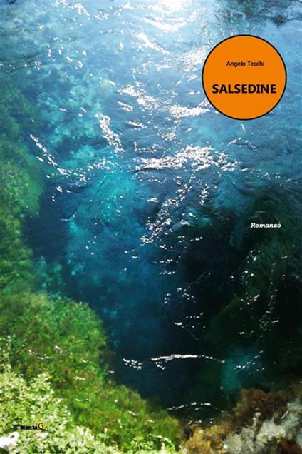 Salsedine - Angelo Tecchi - ebook