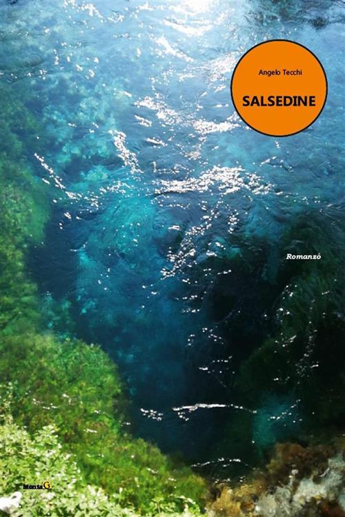 Salsedine - Angelo Tecchi - ebook