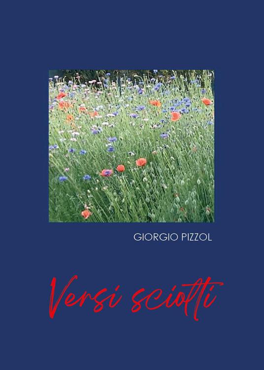 Versi sciolti - Giorgio Pizzol - copertina