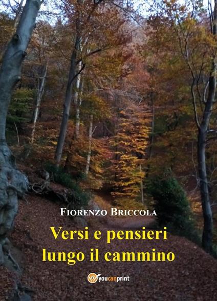 Versi e pensieri lungo il cammino - Fiorenzo Briccola - copertina