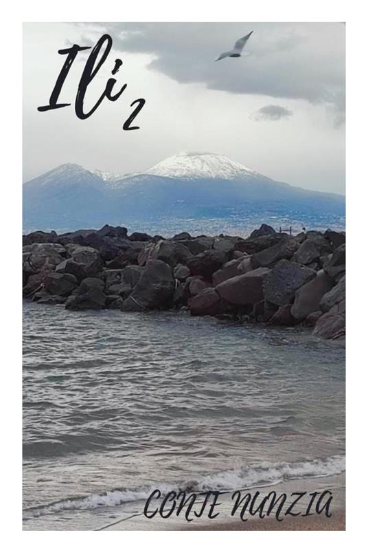 Ili. Vol. 2 - Nunzia Conte - copertina