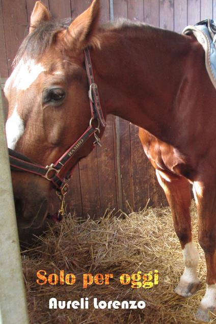 Solo per oggi - Lorenzo Aureli - copertina