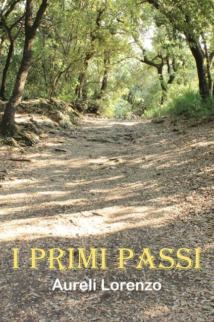 I primi passi - Lorenzo Aureli - copertina