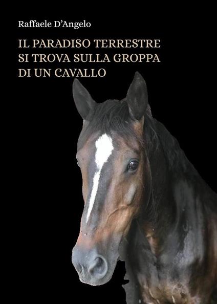 Il paradiso terrestre si trova sulla groppa di un cavallo - Raffaele D'Angelo - copertina
