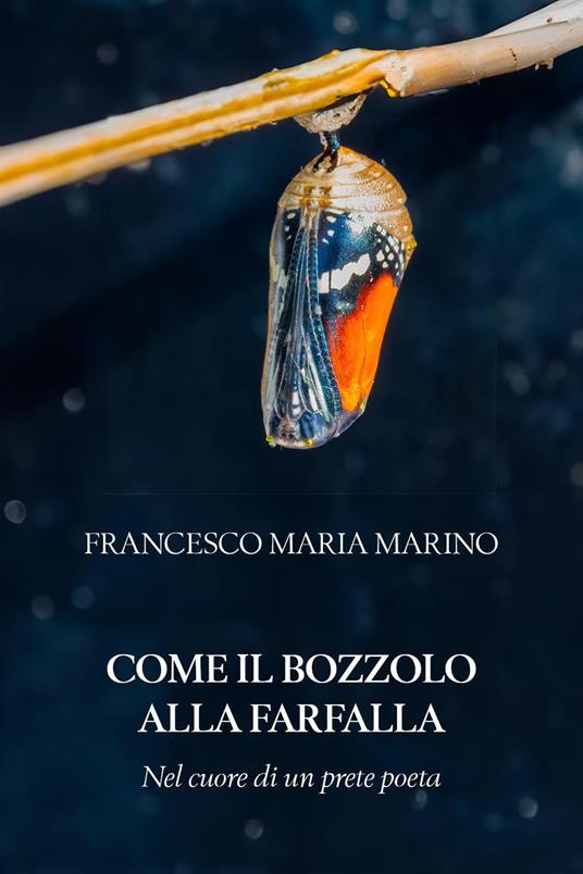 Come il bozzolo alla farfalla - Francesco Maria Marino - copertina
