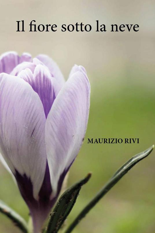 Il fiore sotto la neve - Maurizio Rivi - copertina