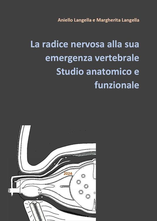La radice nervosa alla sua emergenza vertebrale. Studio anatomico e funzionale - Aniello Langella,Margherita Langella - copertina
