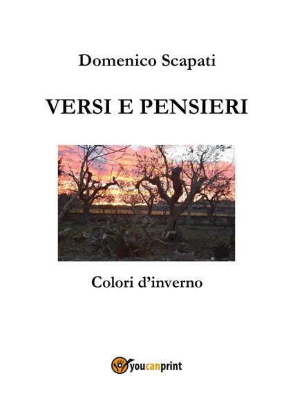 Versi e pensieri. Colori d'inverno - Domenico Scapati - copertina