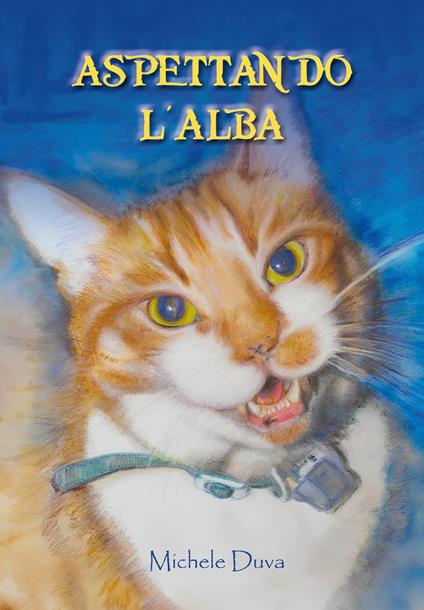 Aspettando l'alba - Michele Duva - copertina