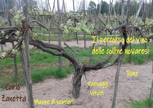 Il percorso del vino delle colline novaresi. Rime, paesaggi vitati, mappe di sentieri - Carlo Zanetta - copertina
